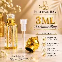 WhatsApp Image 2026-05-31 at 3.50.15 PM.webp
